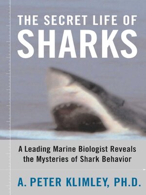cover image of The Secret Life of Sharks